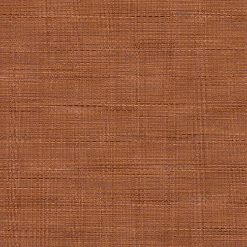 SEL343-589