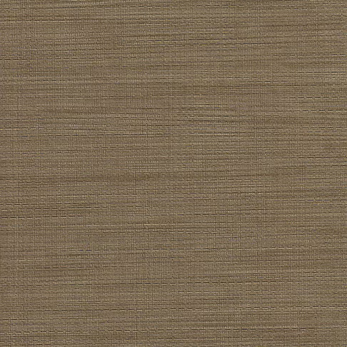 SEL343-592