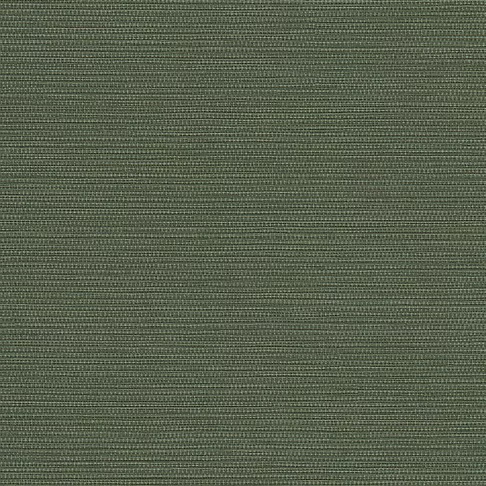 ENC102-697